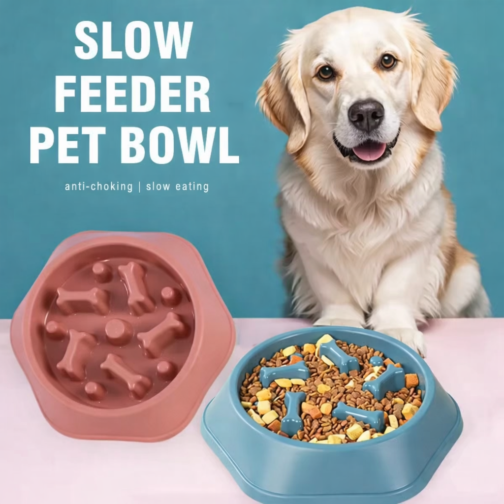 Slow Feeder Bowl