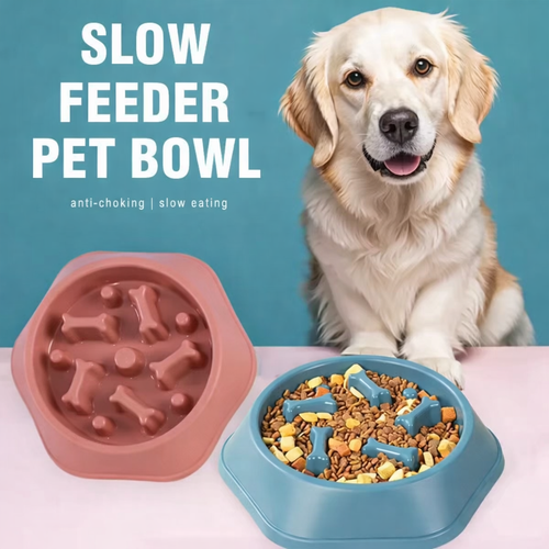 Slow Feeder Bowl